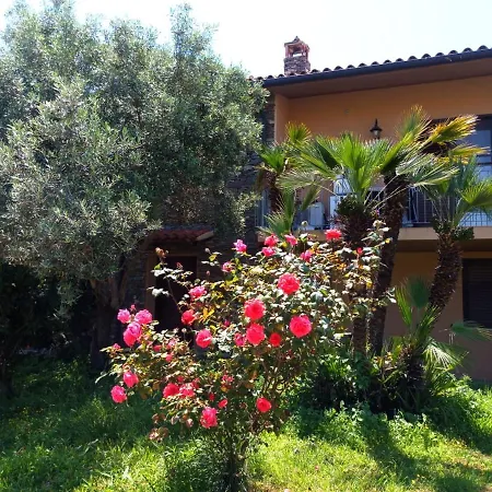 Viliam Bed and breakfast Olbia